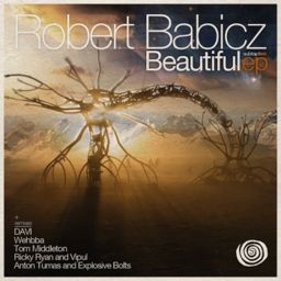 Beautiful cover