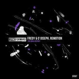 The Ninja Report cover