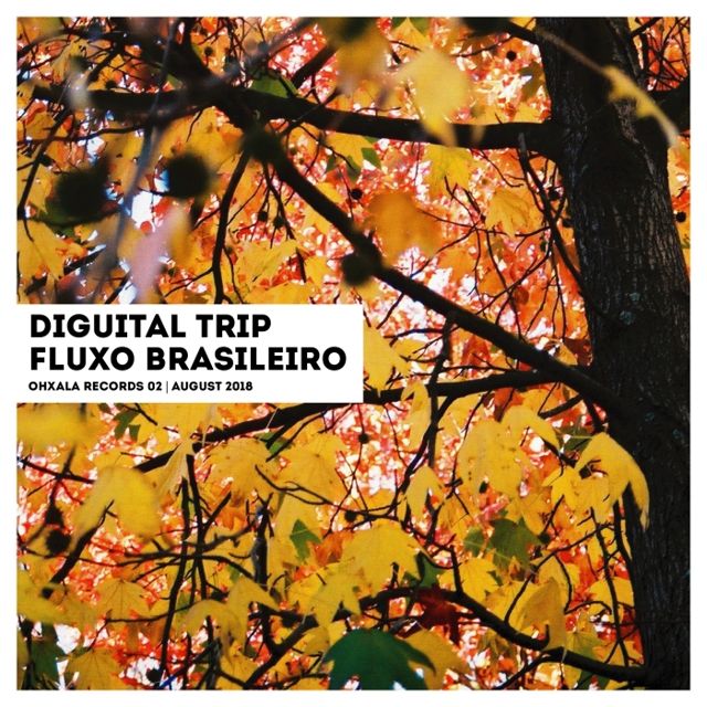 Fluxo Brasileiro cover