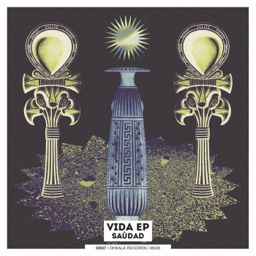 Vida cover