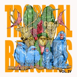 Tropical Bangers Vol.IV cover