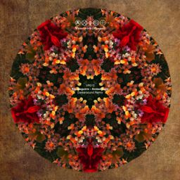 Amber Suns {Darkersound Remix} cover