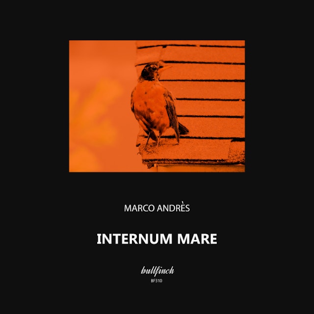 Internum Mare cover