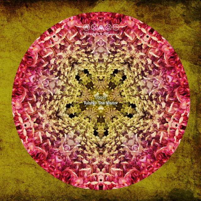 The Visitor cover