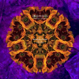 Driving cover