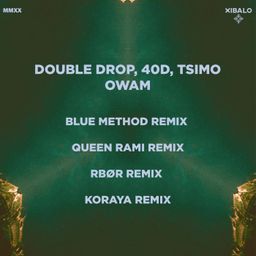 Owam Remixes cover