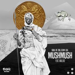 MushMush cover