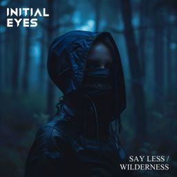 Say Less/Wilderness cover