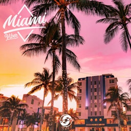 Miami Vibes cover