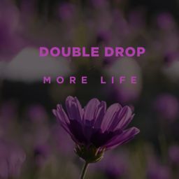 More Life cover