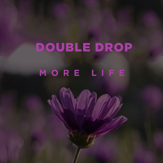 More Life cover