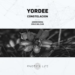 Constelacion cover