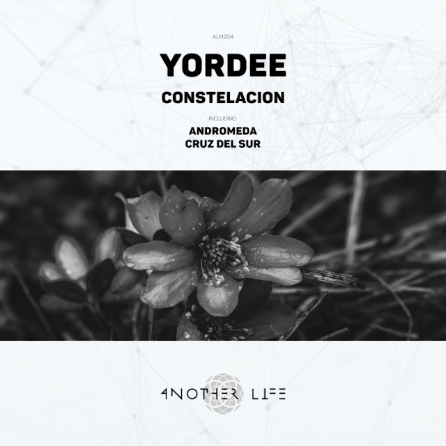 Constelacion cover