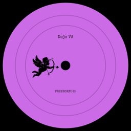 Dojo VA cover