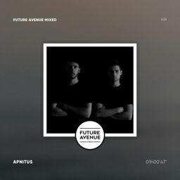 Future Avenue Mixed 038 | APNITUS cover