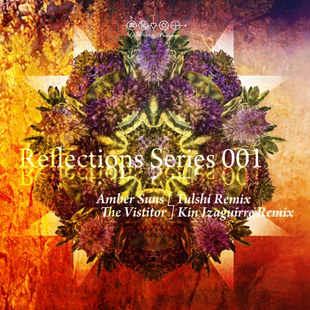 Reflections Series 001 cover