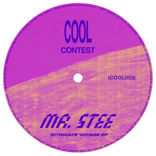 Intricate Voyage cover