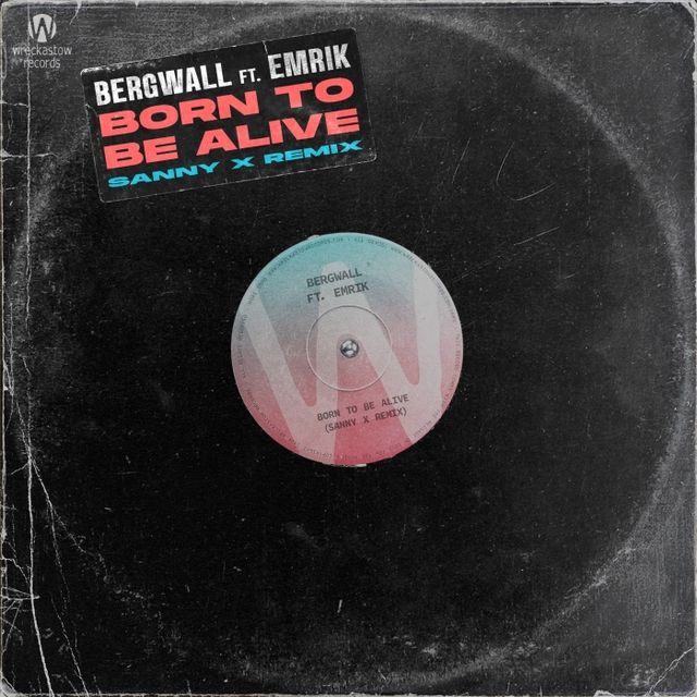 Born To Be Alive (Sanny X Remix) cover