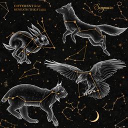 Beneath the Stars cover