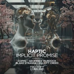 Implicit Promise cover