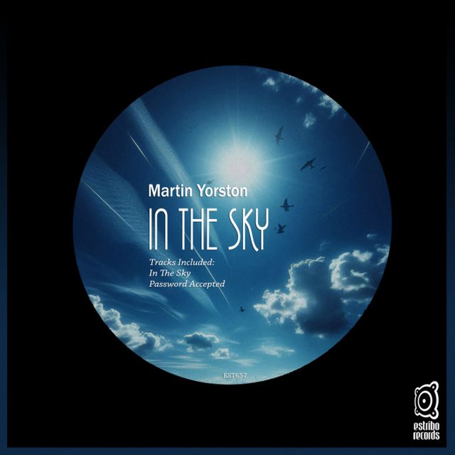In the Sky cover