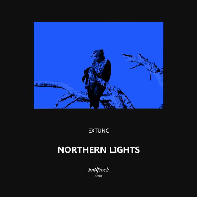 Northern Lights cover