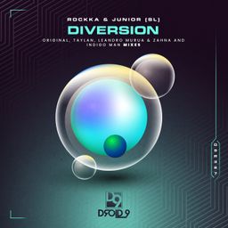 Diversion cover
