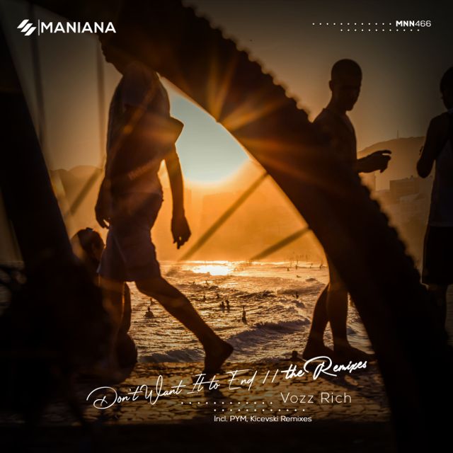 Don't Want It to End // the Remixes cover