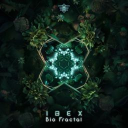 Bio Fractal cover