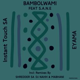 Bambolwami cover