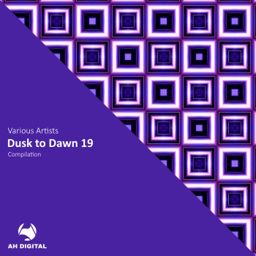 Dusk to Dawn 19 cover