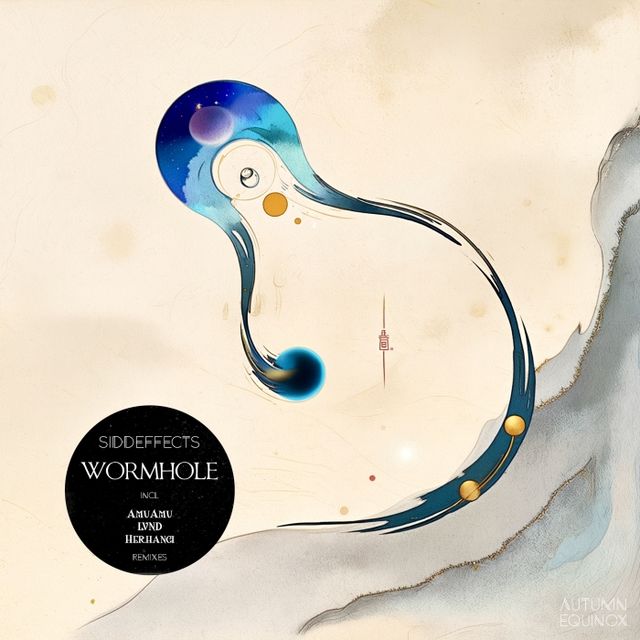 WormHole cover