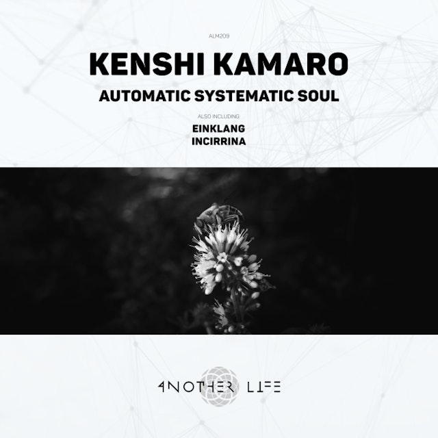 Automatic Systematic Soul cover