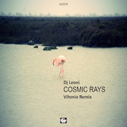 Cosmic Rays (Vihoria Remix) cover