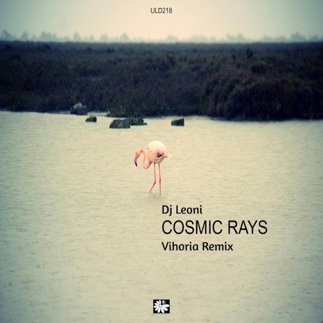 Cosmic Rays (Vihoria Remix) cover