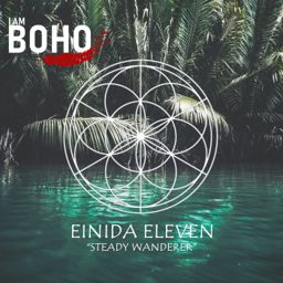 Steady Wanderer cover