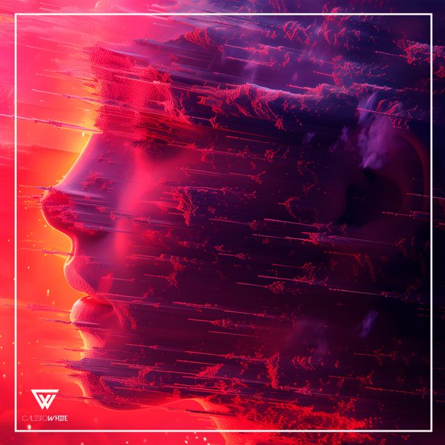 Distorted Echoes cover