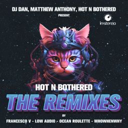 Hot N Bothered (The Remixes) cover