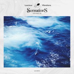 Sensations, Vol. 06 cover