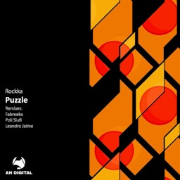 Puzzle cover