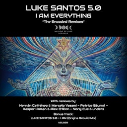 The Encoded Remixes cover