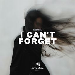 I Can't Forget cover