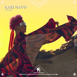 Kari Navo cover