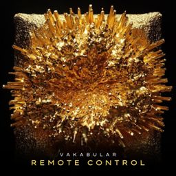 Remote Control cover