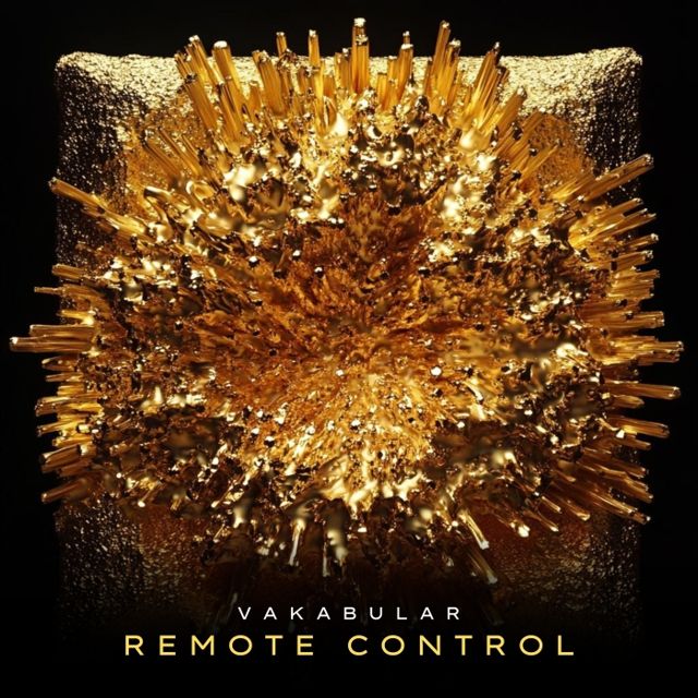 Remote Control cover