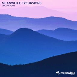 Meanwhile Excursions, Vol. 4 cover