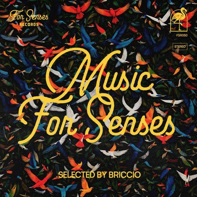 Music for Senses - ADE 2024 Compiled by BRICCIO cover