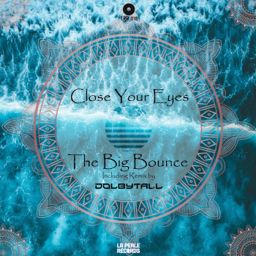 The Big Bounce cover