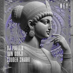 Ney cover