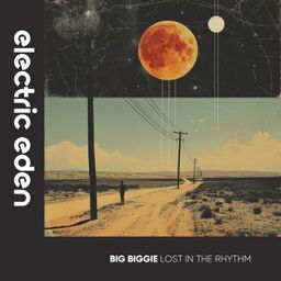 Lost in the Rhythm cover